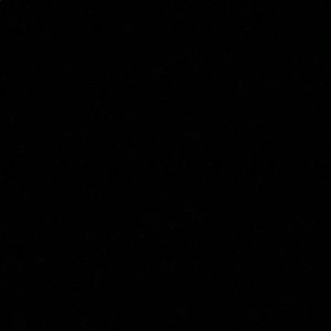 Meet your Posher, Seraphina